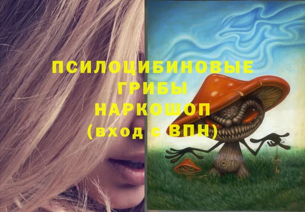 СК Волгодонск