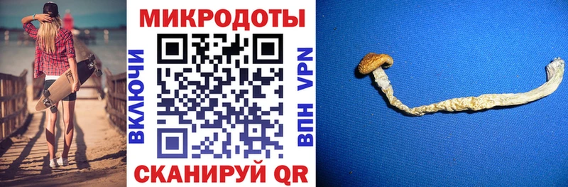 Псилоцибиновые грибы мицелий  Кизел 