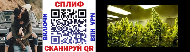 это официальный сайт  Кизел  Конопля THC 21% 